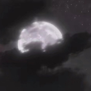 亚洲毛片在线网址
